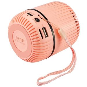 WS 5397 Bluetooth Speaker